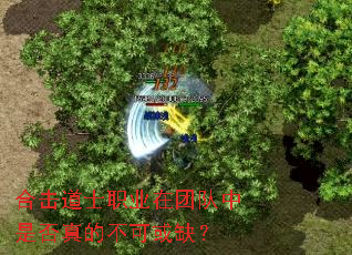 �ϻ���ʿְҵ���Ŷ����Ƿ���Ĳ��ɻ�ȱ��