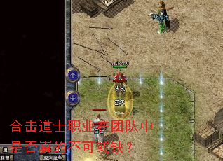 �ϻ���ʿְҵ���Ŷ����Ƿ���Ĳ��ɻ�ȱ��