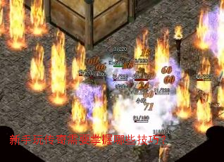 �����洫����Ҫ������Щ���ɣ�