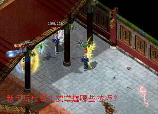 �����洫����Ҫ������Щ���ɣ�