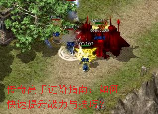 ������ֽ���ָ�ϣ���ο�������ս���뼼�ɣ�