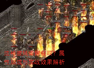 ����������λ�ȡ�����Լӳ���ʵսЧ������