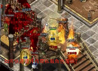 如何快速提升传奇私服角色等级? 如何快速提升传奇私服角色等级?