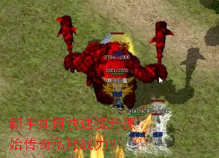 ������ο�������ԭʼ����˽��ս����