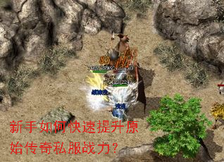 ������ο�������ԭʼ����˽��ս����