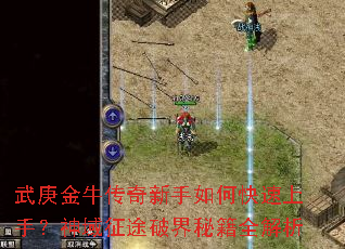 �����ţ����������ο������֣�������;�ƽ��ؼ�ȫ����