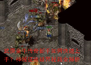 �����ţ����������ο������֣�������;�ƽ��ؼ�ȫ����