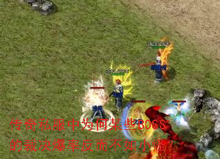 ����˽����Ϊ��ĳЩBOSS�Ĳþ����ʷ�������С�֣�