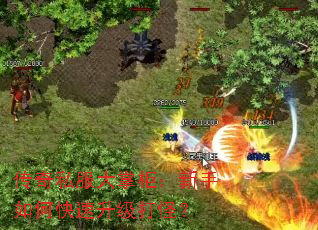 传奇私服大掌柜:新手如何快速升级打怪? 传奇私服大掌柜:新手如何快速升级打怪?