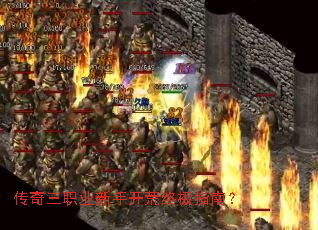 ������ְҵ���ֿ����ռ�ָ�ϣ�