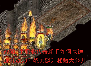 ս��2��ְҵ����������ο�������ս����ս������ؼ��󹫿�