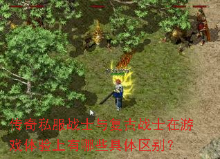 ����˽��սʿ�븴��սʿ����Ϸ����������Щ��������