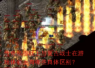 ����˽��սʿ�븴��սʿ����Ϸ����������Щ��������