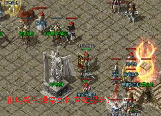 ����������������Ч������