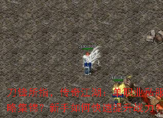 ������ָ�����潭������ְҵ˽�����Լ�����������ο�������ս����