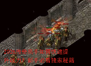 2026���������ο�������ս�������ֱؿ������ؼ�