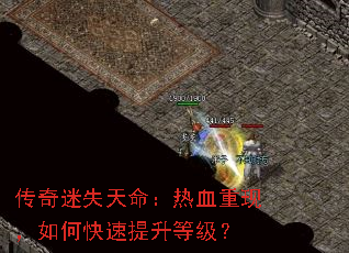 ������ʧ��������Ѫ���֣���ο��������ȼ���