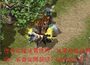 ����˽����ѩ���磺��ѩ��Ե��ο���������װ����λ�ȡ��BOSS��ô��