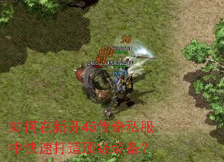 ������¿�45����˽���п��ٴ��춥��װ����