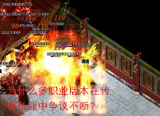 Ϊʲô��ְҵ�汾�ڴ���˽�������鲻�ϣ�