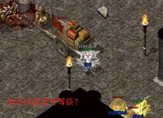 ��ο��������ȼ���