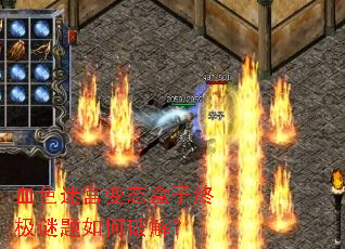 Ѫɫ�Թ���̬�����ռ���������ƽ⣿