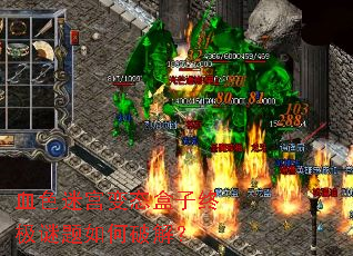 Ѫɫ�Թ���̬�����ռ���������ƽ⣿