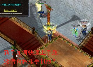 ������ο������ֳ��䴫��˽���ֻ��棿