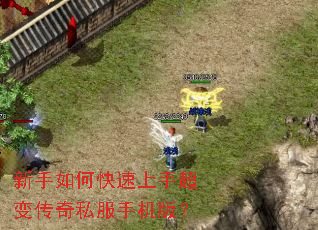 ������ο������ֳ��䴫��˽���ֻ��棿