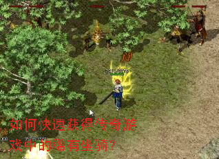 如何快速获得传奇游戏中的稀有坐骑? 如何快速获得传奇游戏中的稀有坐骑?