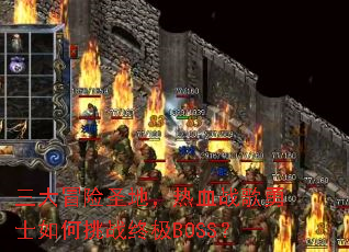 ����ð��ʥ�أ���Ѫս����ʿ�����ս�ռ�BOSS��