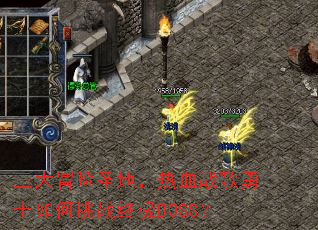 ����ð��ʥ�أ���Ѫս����ʿ�����ս�ռ�BOSS��