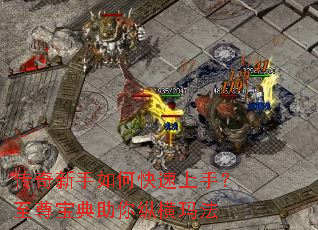 ����������ο������֣����𱦵������ݺ��귨