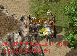 �����ڴ�������˽���У����ĸ�BOSS��ȡ�������