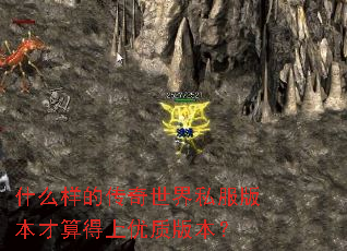 ʲô���Ĵ�������˽���汾����������ʰ汾��