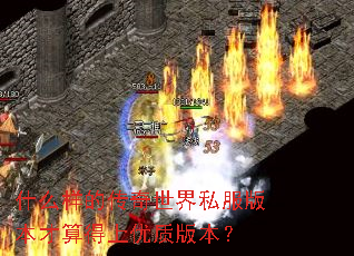 ʲô���Ĵ�������˽���汾����������ʰ汾��