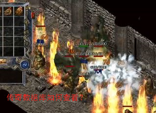 �������ݿ���β鿴��