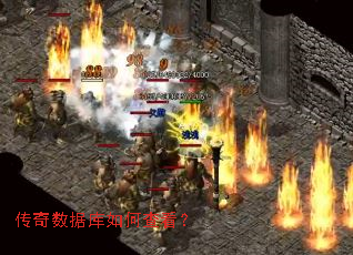 �������ݿ���β鿴��