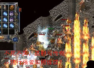 �������𣬹µ������棺����ǿ��������ɣ�