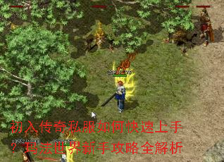 ���봫��˽����ο������֣��귨�������ֹ���ȫ����