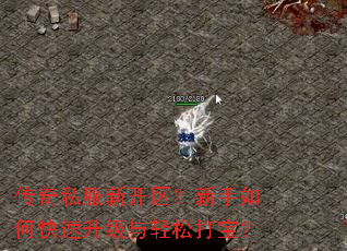 ����˽���¿�����������ο������������ɴ򱦣�