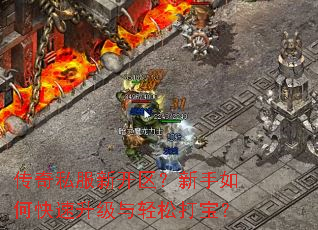 ����˽���¿�����������ο������������ɴ򱦣�