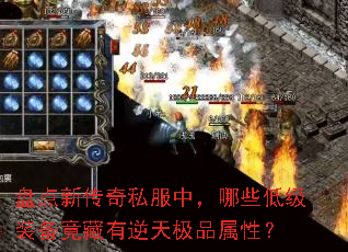 �̵��´���˽���У���Щ�ͼ�װ�����������켫Ʒ���ԣ�