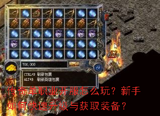 传奇单职业开服怎么玩?新手如何快速升级与获取装备? 传奇单职业开服怎么玩?新手如何快速升级与获取装备?