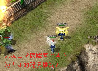 ����ɽ����������Щ��Ϊ��֪���ؾ���ս��