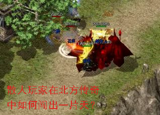 ɢ������ڱ�����������δ���һƬ�죿