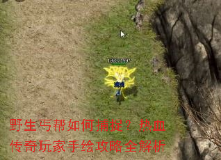 Ұ��ؤ����β�׽����Ѫ��������ֻ湥��ȫ����