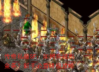 ����˽��SF����θ�Чˢ���������ֱؿ��ռ�����