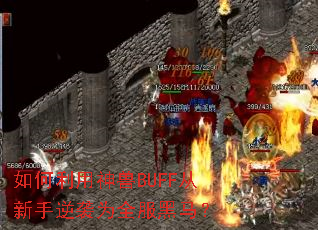 �����������BUFF��������ϮΪȫ��������