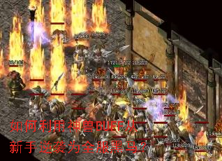 �����������BUFF��������ϮΪȫ��������